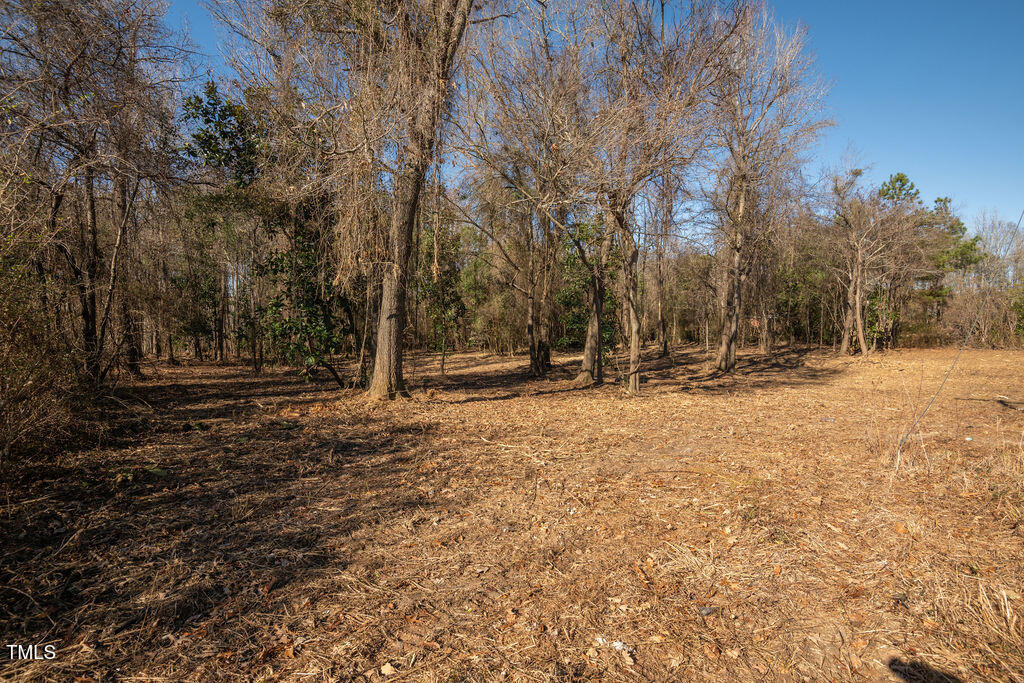 4258 Highway 301 Dunn, NC 28334 - Photo 8 of 32 US301S.Dunn.NC-5