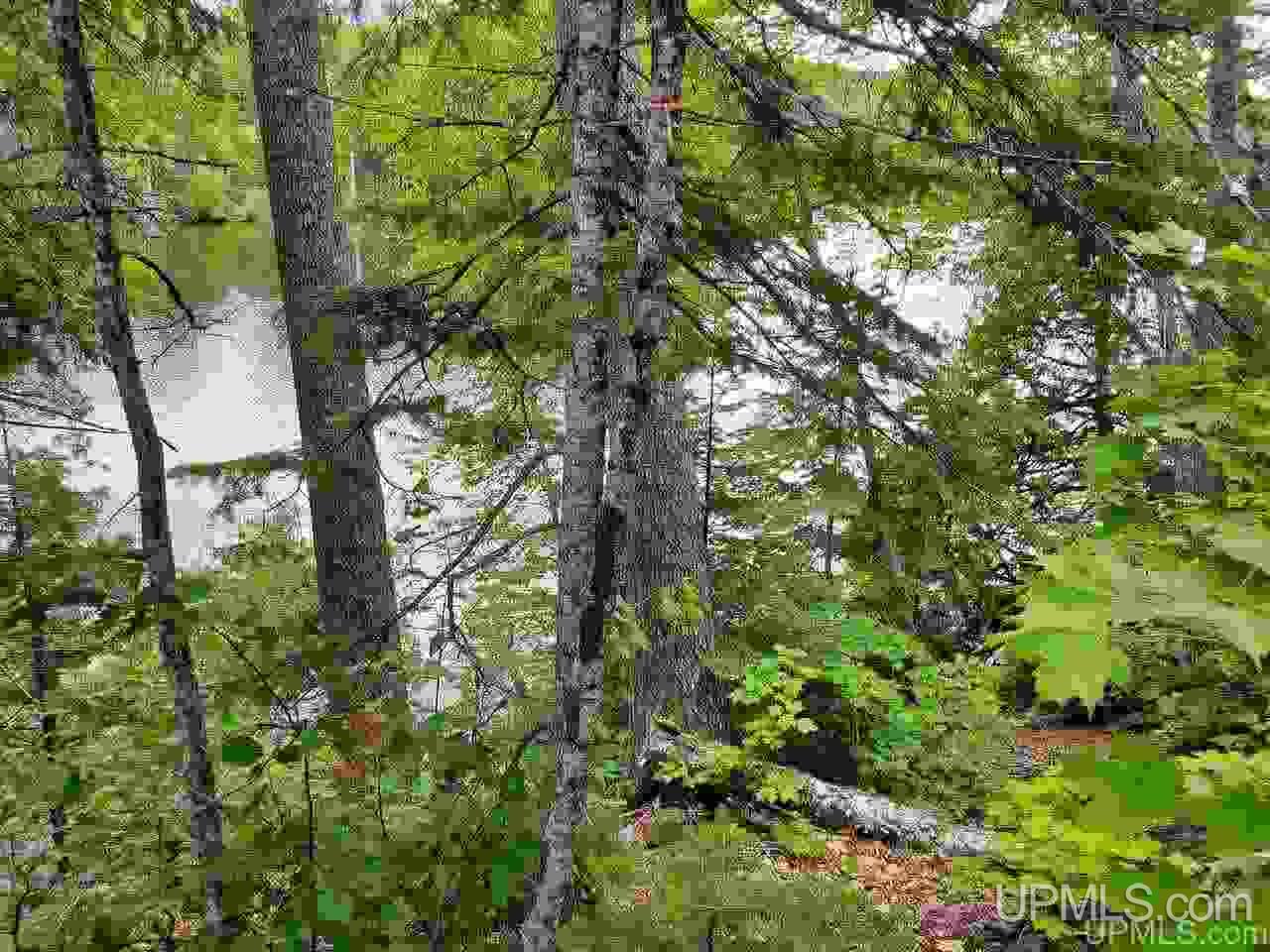 Tbd Frimodig Road Mohawk, MI 49950 - Photo 3 of 12