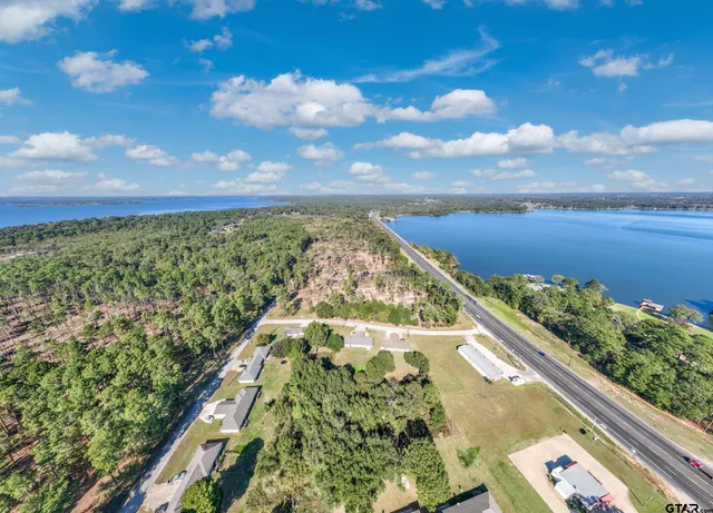 a view of a yard with lots of trees