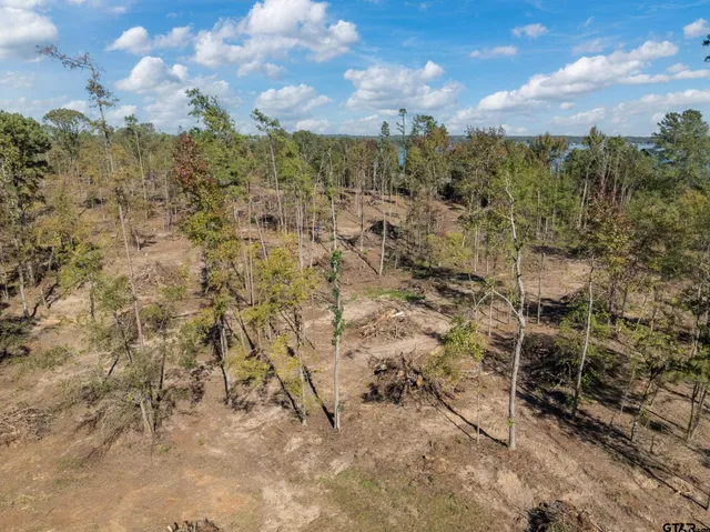 $1,000,000 | 17446 Pintail Drive, Flint, TX 75762