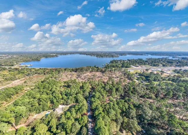 a view of a bunch of trees