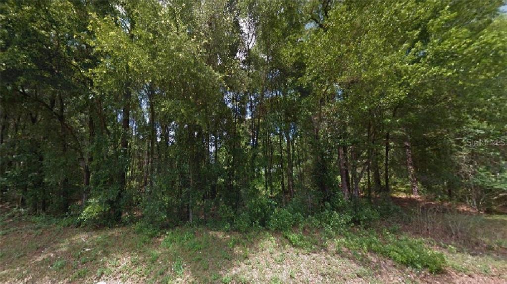 116 Temple Street Inverness, FL 34452 - Photo 1 of 1 Gallery Image 1