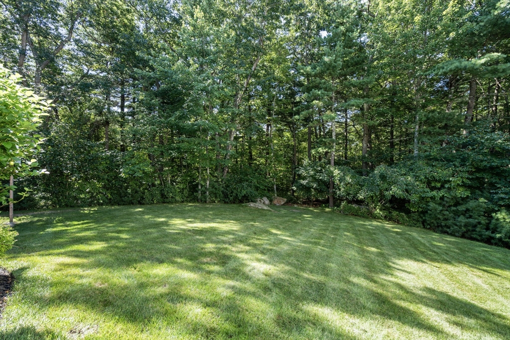 101 Turtle Brook Road, Unit 202 Canton, MA 02021 - Photo 26 of 30 Gallery Image 26