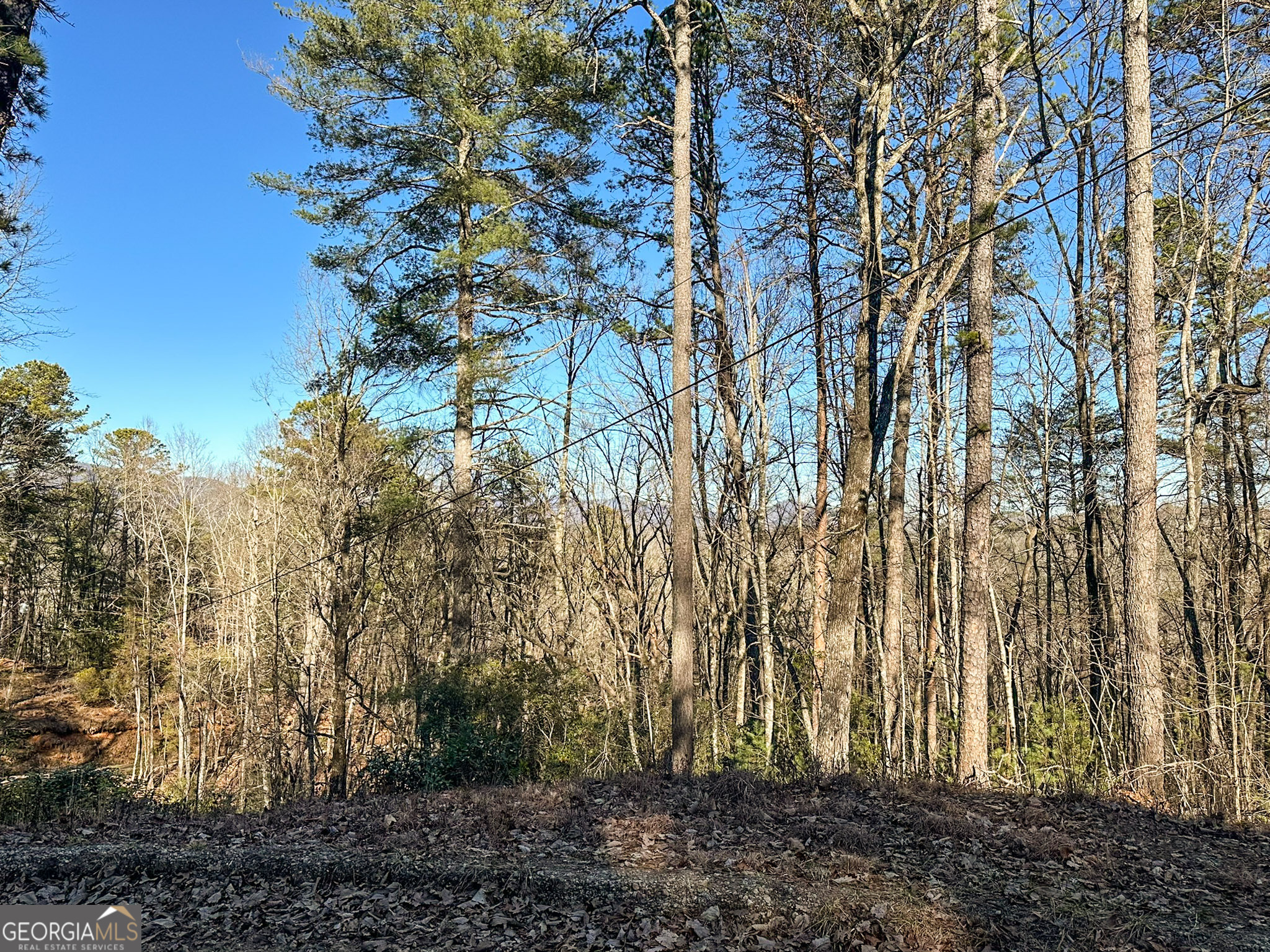 0 Saga Mountain Road, Unit LOT 6 Tiger, GA 30576 - Photo 1 of 1 Gallery Image 1