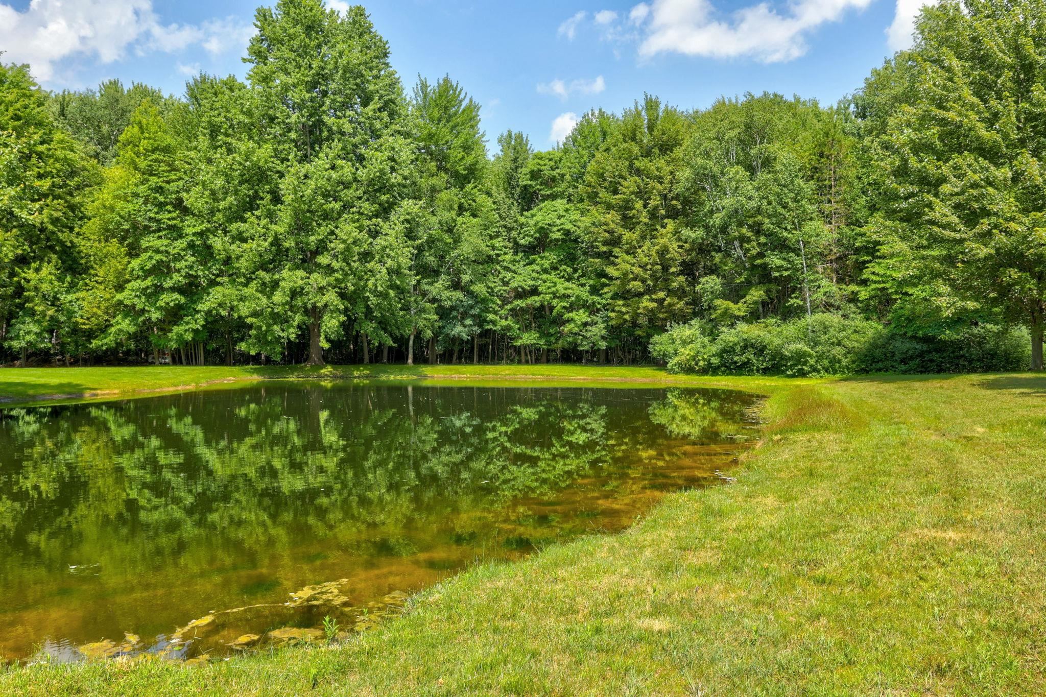8665 South Gera Road Birch Run, MI 48415 - Photo 54 of 69 50214699-f04c777b-3323-4c52-a295-ed9b4f1c02b3.JPG