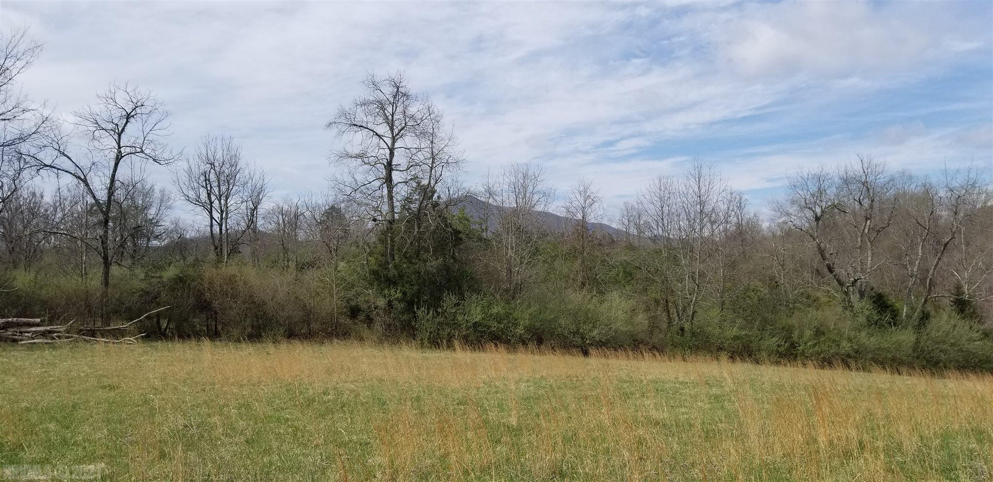 Lot 10 Hurston Road Pulaski, VA 24301 - Photo 7 of 15 Gallery Image 7