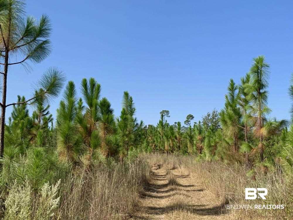 0 Three 3 Rivers Road Seminole, AL 36574 - Photo 15 of 27