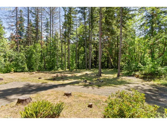 $1,490,000 | 93933 Marcola Road, Marcola, OR 97454