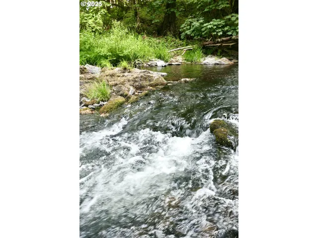 $1,490,000 | 93933 Marcola Road, Marcola, OR 97454