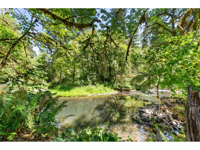 $1,490,000 | 93933 Marcola Road, Marcola, OR 97454