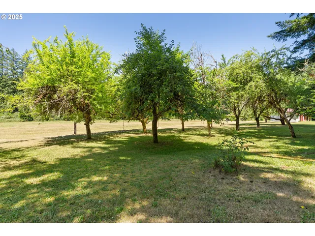 $1,490,000 | 93933 Marcola Road, Marcola, OR 97454