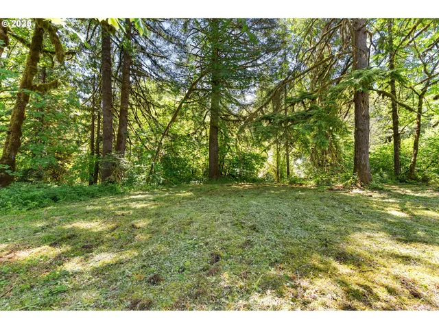 $1,490,000 | 93933 Marcola Road, Marcola, OR 97454