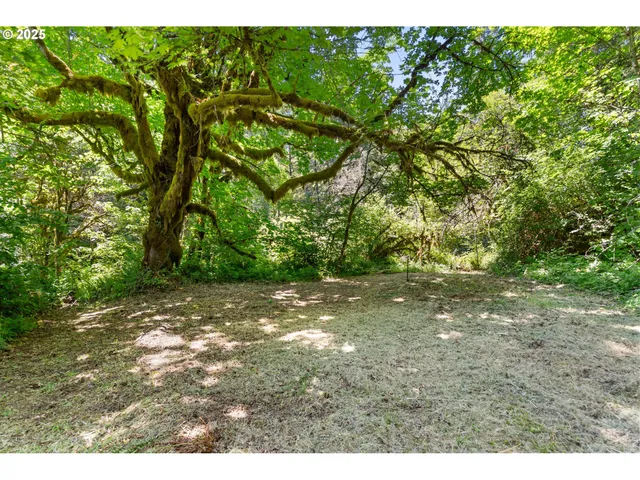 $1,490,000 | 93933 Marcola Road, Marcola, OR 97454