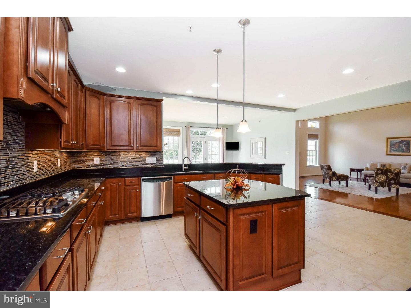 623 Fairway Drive Telford, PA 18969 - Photo 3 of 37 Kitchen