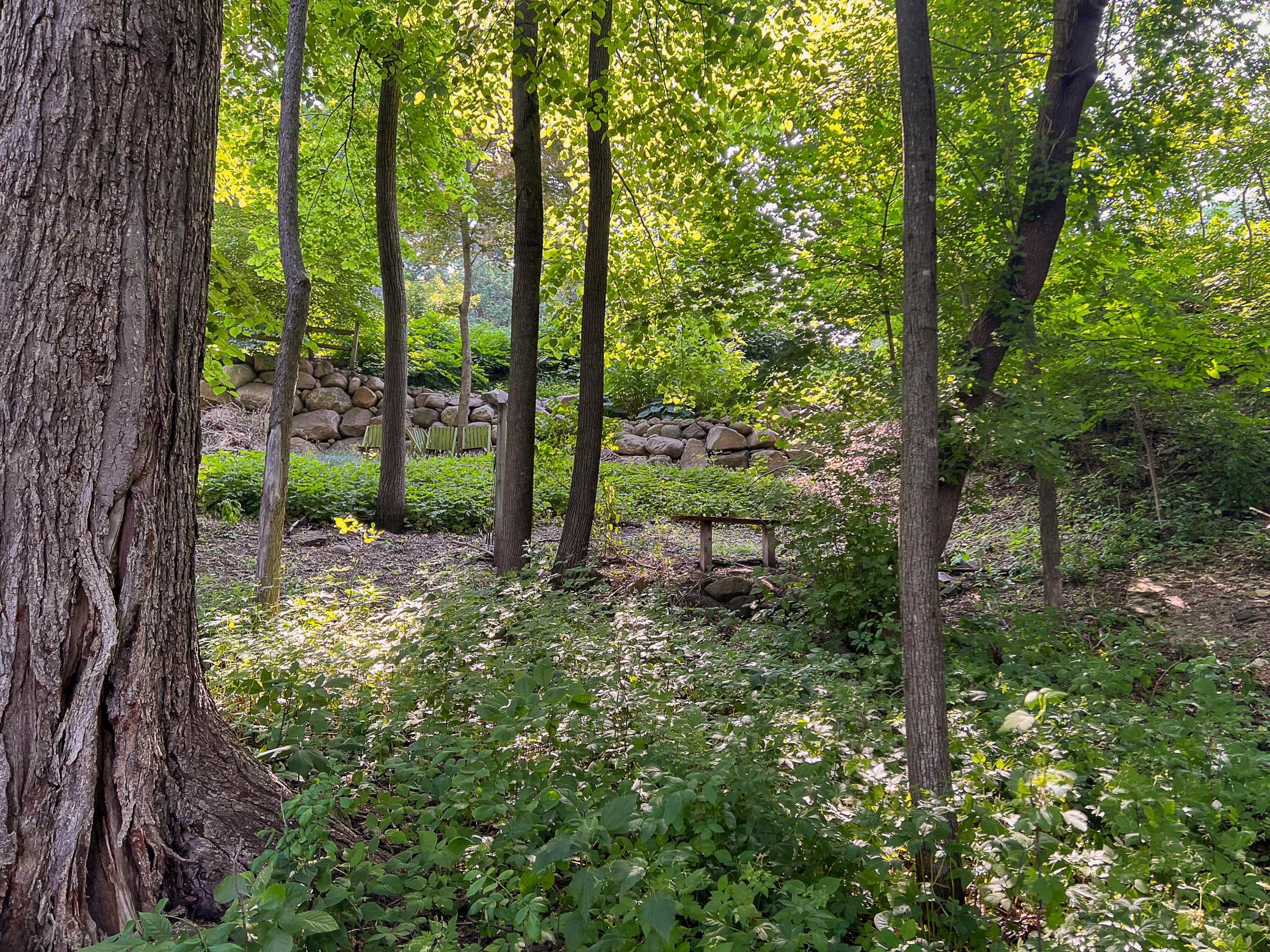 1101 20th Street Northwest Rochester, MN 55901 - Photo 11 of 54