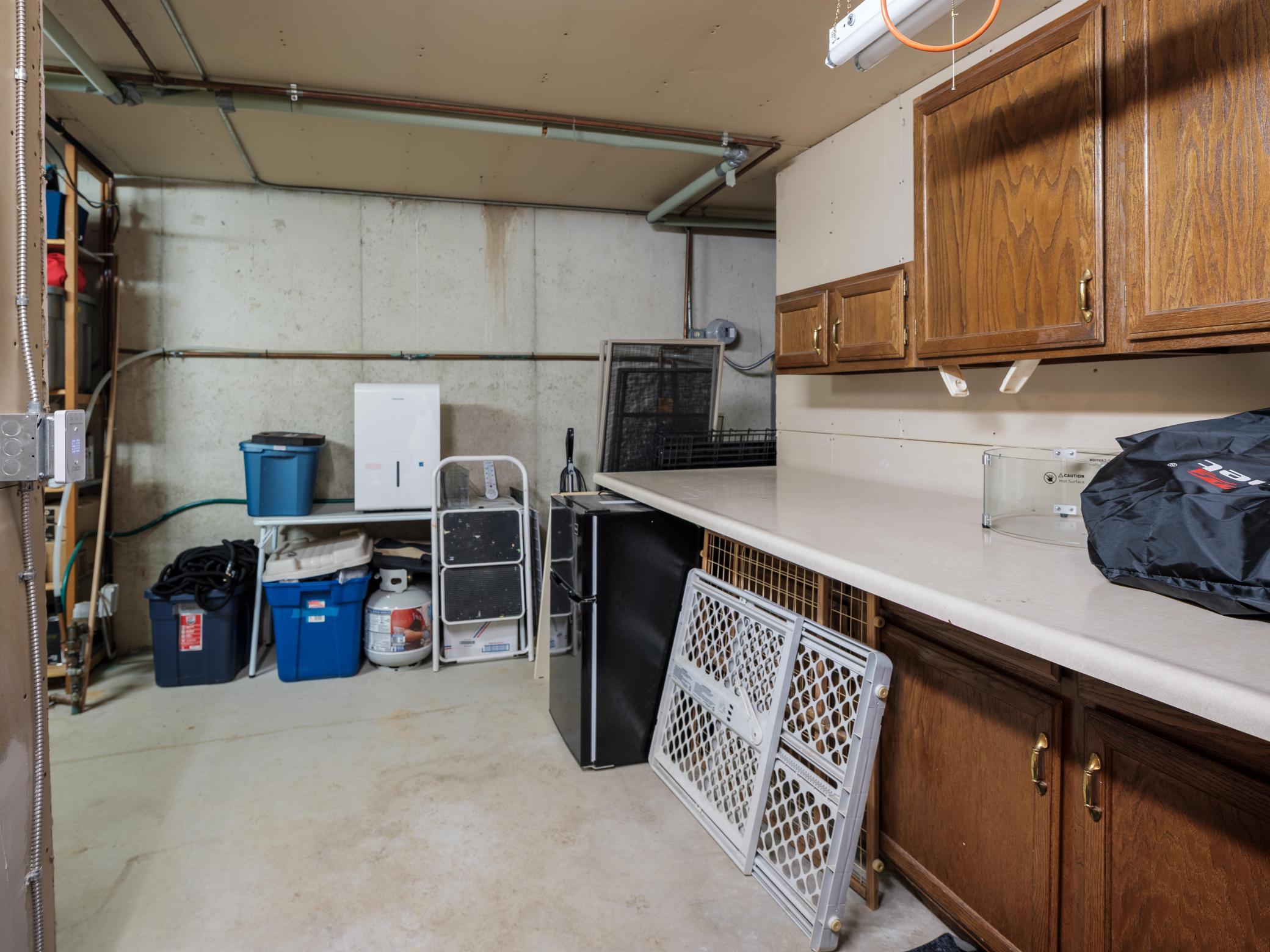 1101 20th Street Northwest Rochester, MN 55901 - Photo 51 of 54