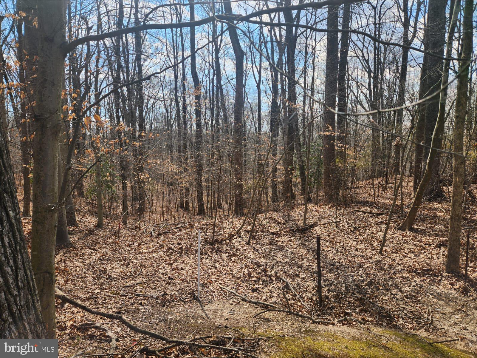 6301 Hickory Bend Road Brandywine, MD 20613 - Photo 4 of 4 Gallery Image 4