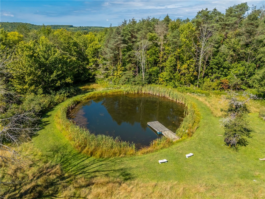 9545 Redman Road Allen, NY 14735 - Photo 34 of 48 Stocked Pond