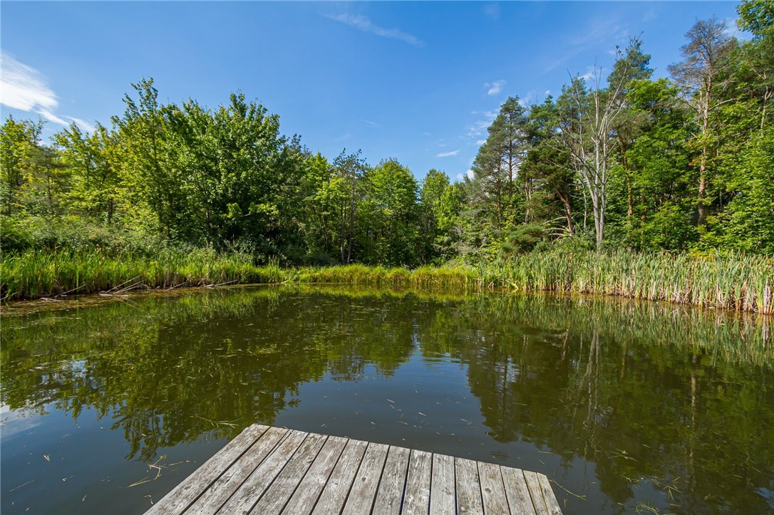 9545 Redman Road Allen, NY 14735 - Photo 40 of 48 Stocked Pond