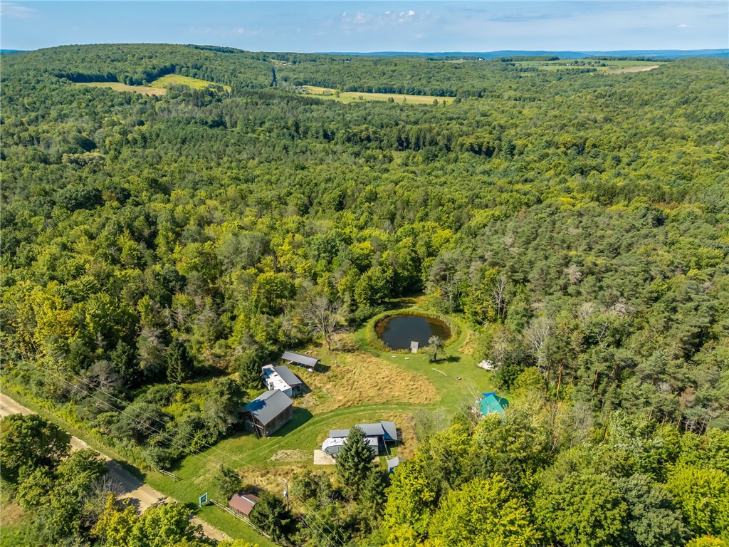 9545 Redman Road Allen, NY 14735 - Photo 4 of 48 Gallery Image 4