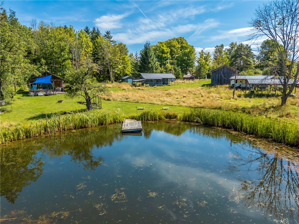 9545 Redman Road Allen, NY 14735 - Photo 41 of 48 Stocked Pond