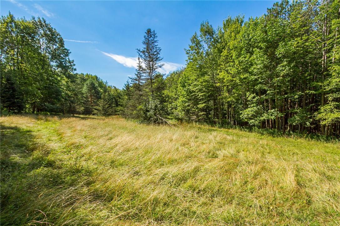 9545 Redman Road Allen, NY 14735 - Photo 46 of 48 Loads of open space