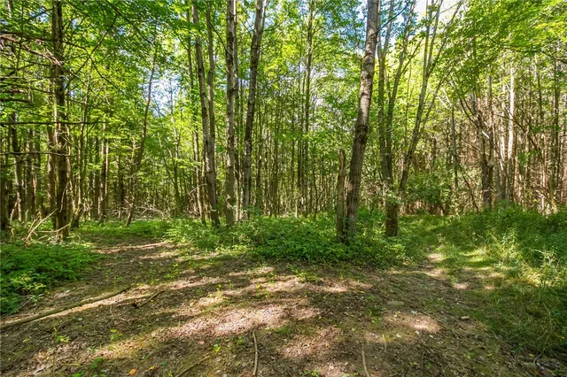 $250,000 | 9545 Redman Road, Allen, NY 14735