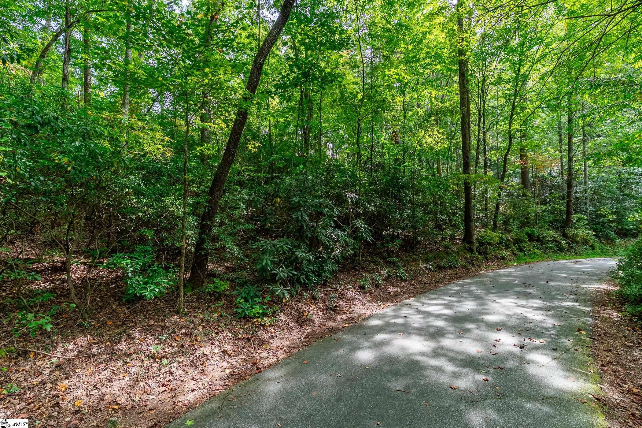0 Pinnacle Lake Road Marietta, SC 29661 - Photo 1 of 31 Gallery Image 1