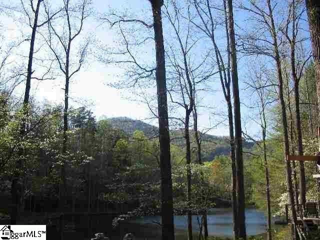 0 Pinnacle Lake Road Marietta, SC 29661 - Photo 11 of 31 Gallery Image 11
