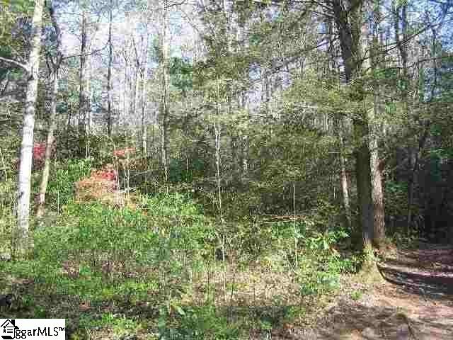 0 Pinnacle Lake Road Marietta, SC 29661 - Photo 12 of 31 Gallery Image 12