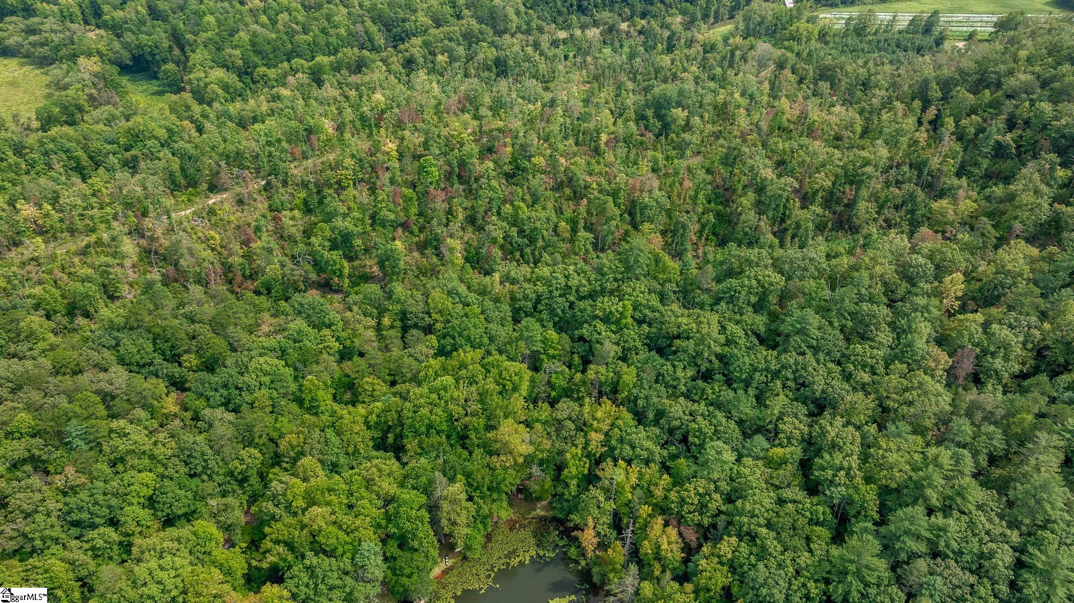 0 Pinnacle Lake Road Marietta, SC 29661 - Photo 13 of 31 Gallery Image 13