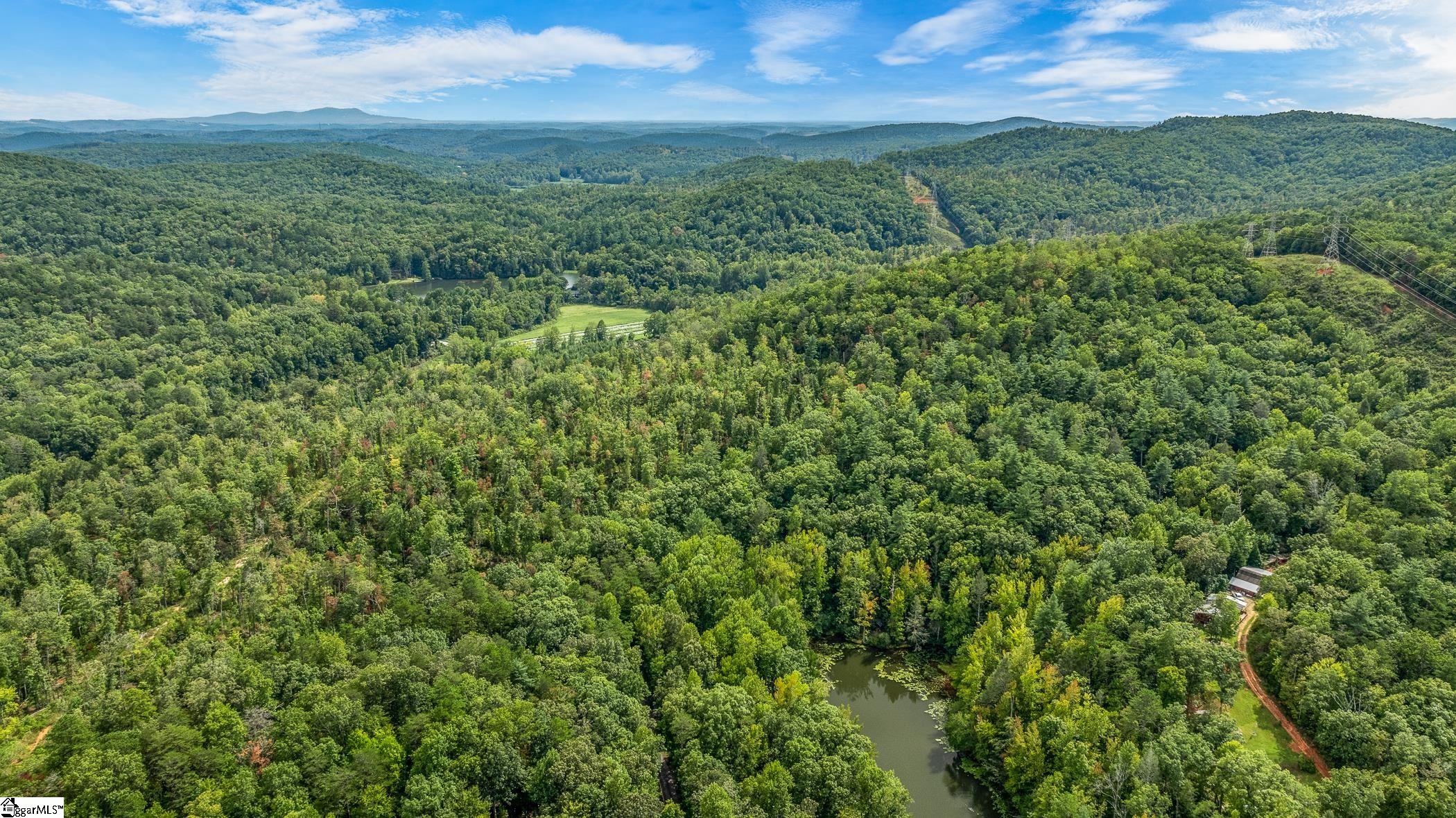 0 Pinnacle Lake Road Marietta, SC 29661 - Photo 18 of 31 Gallery Image 18