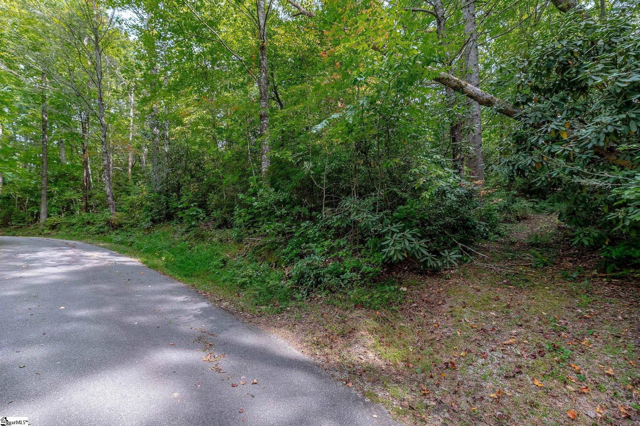 0 Pinnacle Lake Road Marietta, SC 29661 - Photo 2 of 31 Gallery Image 2