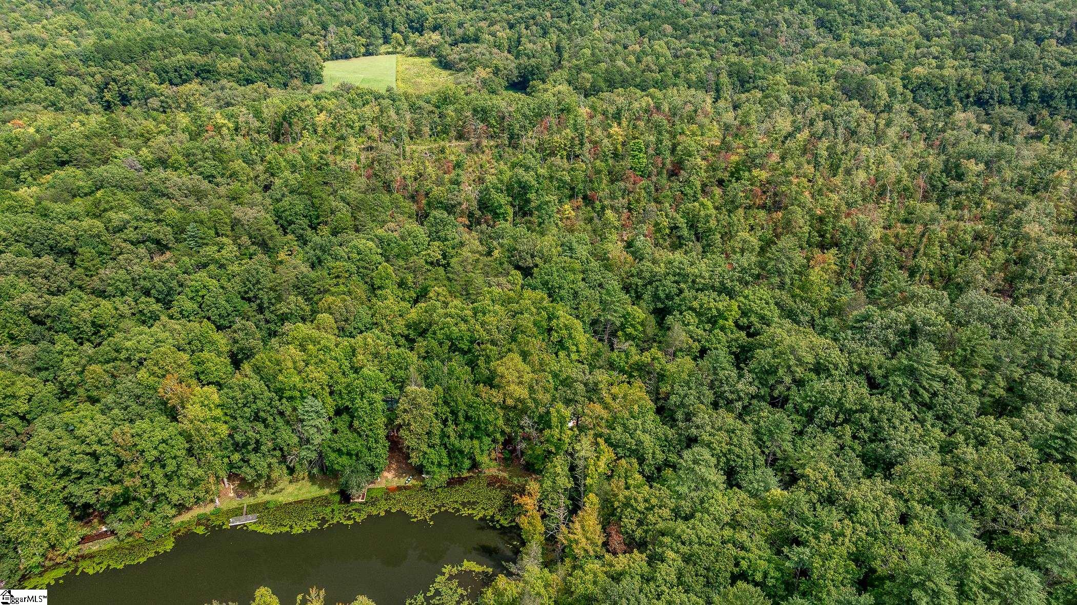 0 Pinnacle Lake Road Marietta, SC 29661 - Photo 28 of 31 Gallery Image 28