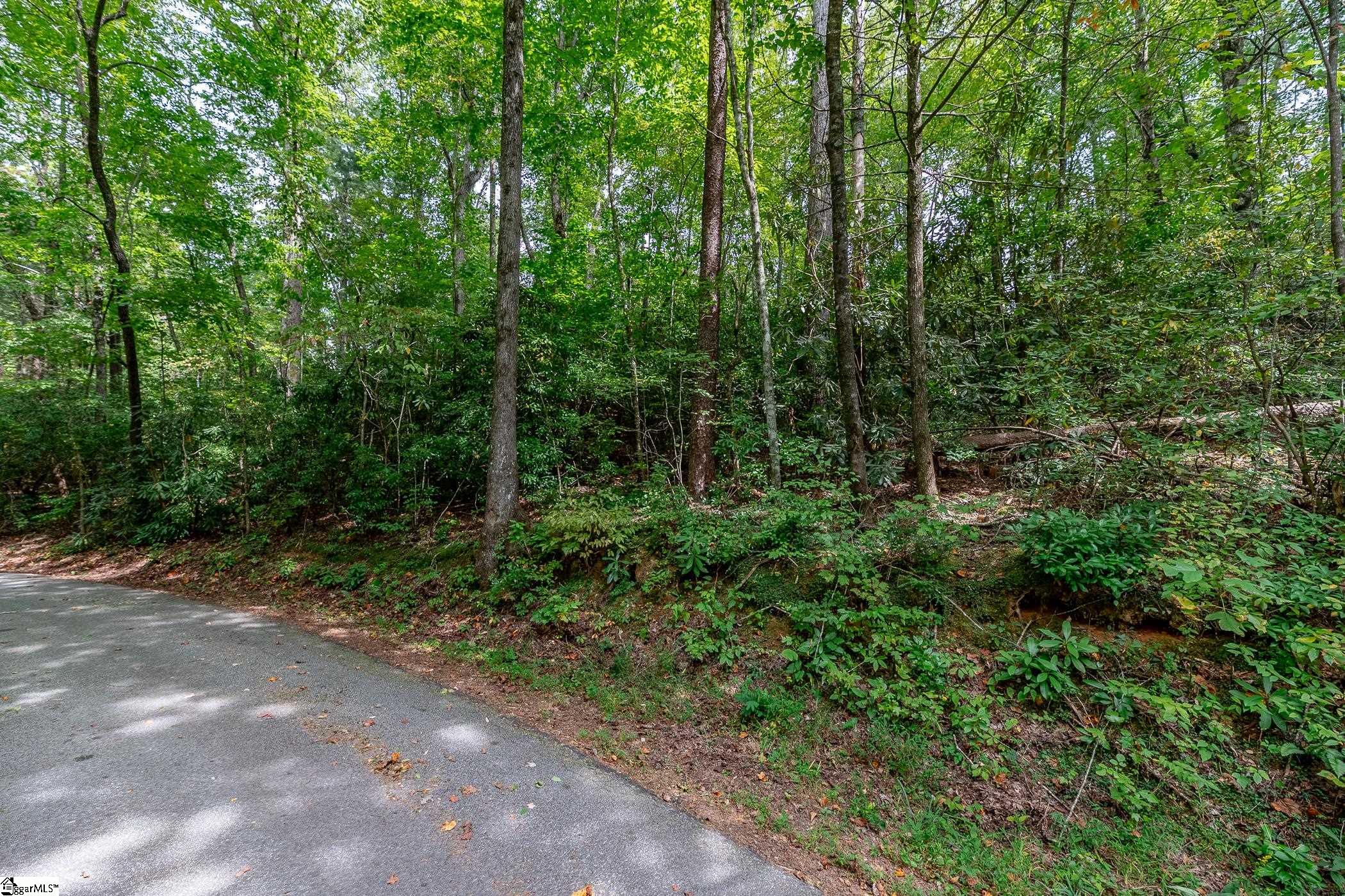 0 Pinnacle Lake Road Marietta, SC 29661 - Photo 5 of 31 Gallery Image 5