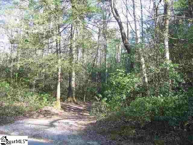 0 Pinnacle Lake Road Marietta, SC 29661 - Photo 6 of 31 Gallery Image 6