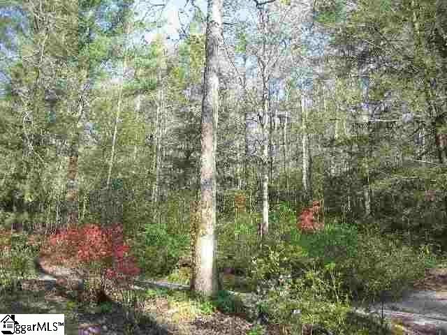 0 Pinnacle Lake Road Marietta, SC 29661 - Photo 8 of 31 Gallery Image 8