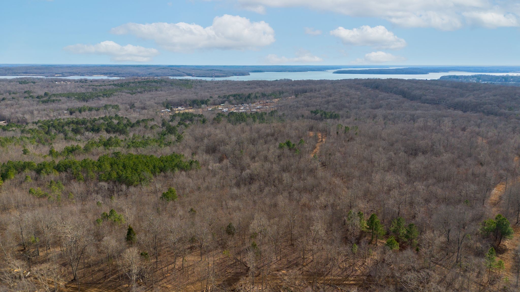 a view of a dry yard with lots of green space