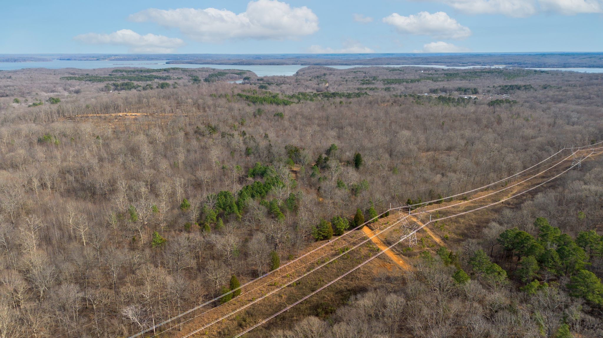 2 Olde Tennessee Trail Springville, TN 38256 - Photo 12 of 13 a view of a dry yard
