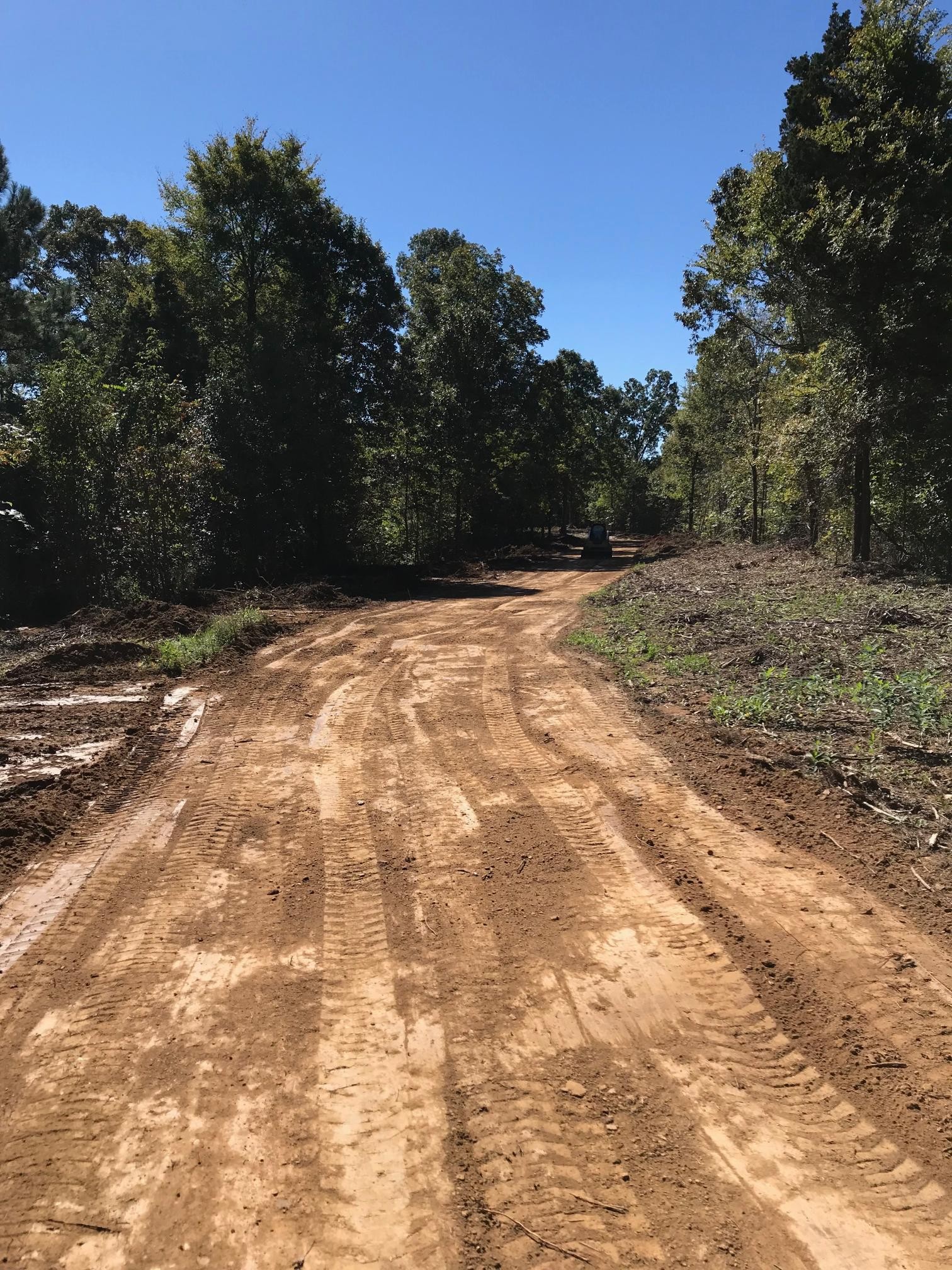 2 Olde Tennessee Trail Springville, TN 38256 - Photo 2 of 13 a view of empty yard with trees