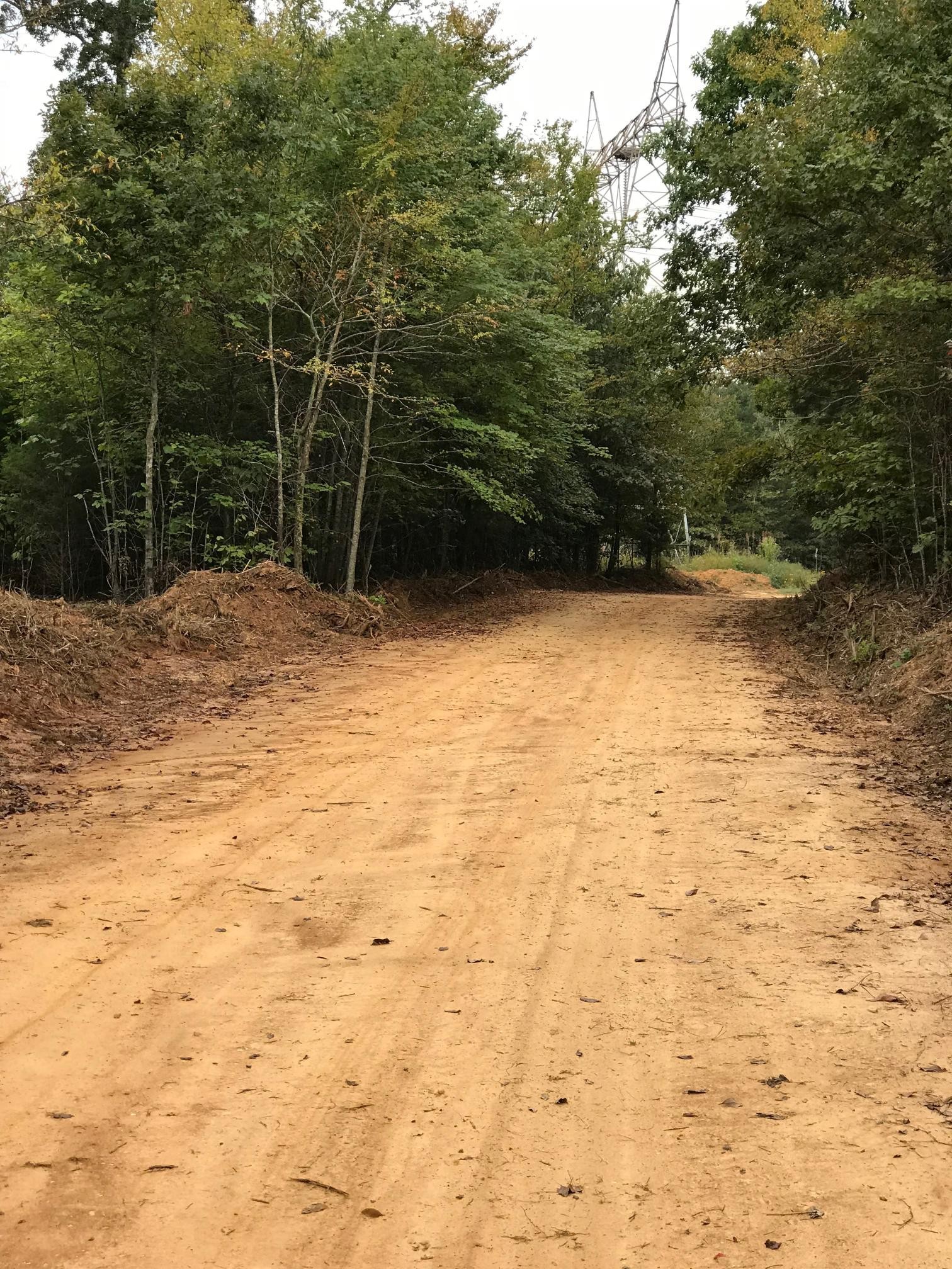 2 Olde Tennessee Trail Springville, TN 38256 - Photo 3 of 13 a view of a pool with a yard
