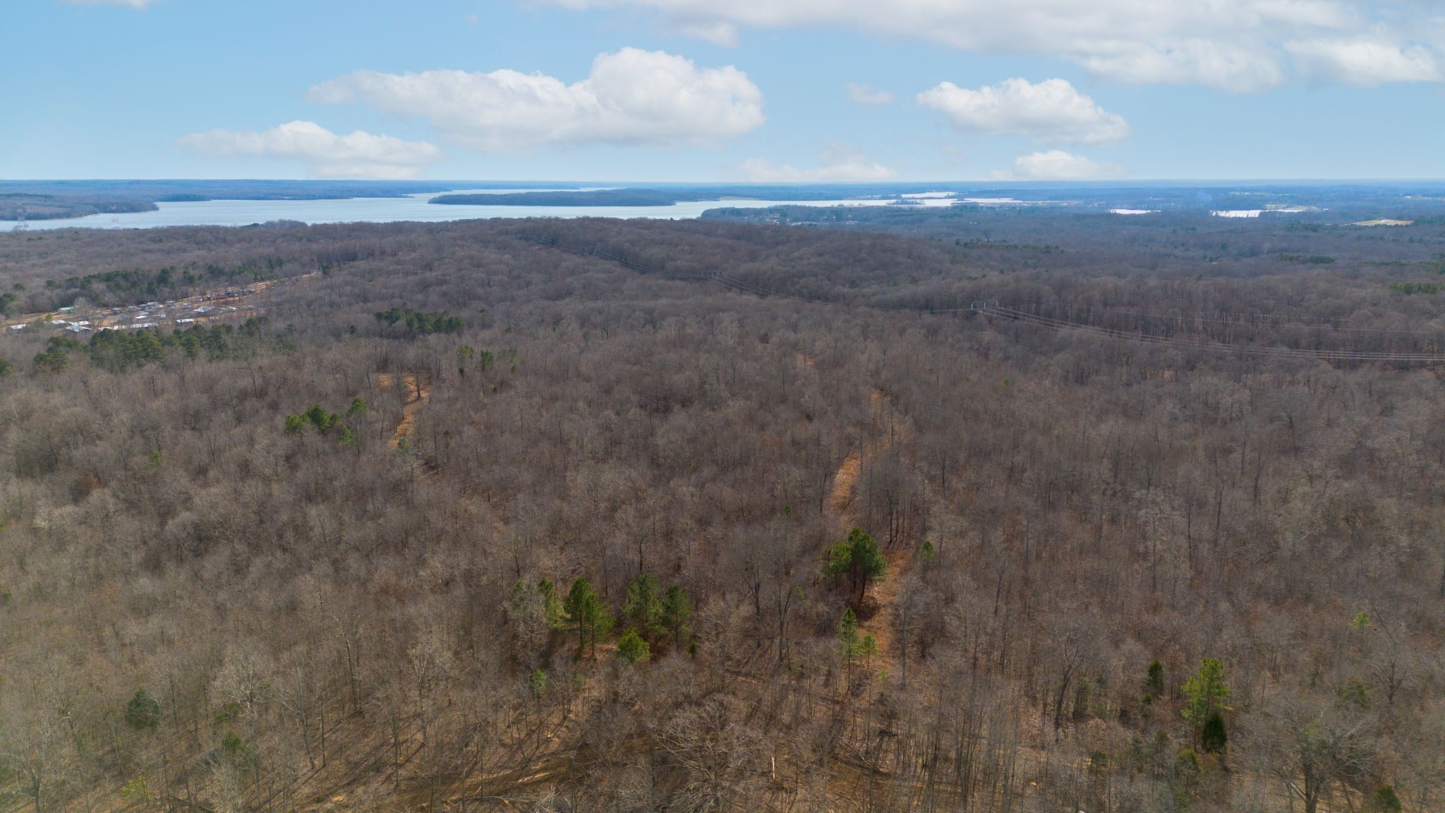 2 Olde Tennessee Trail Springville, TN 38256 - Photo 5 of 13 a view of city and green space