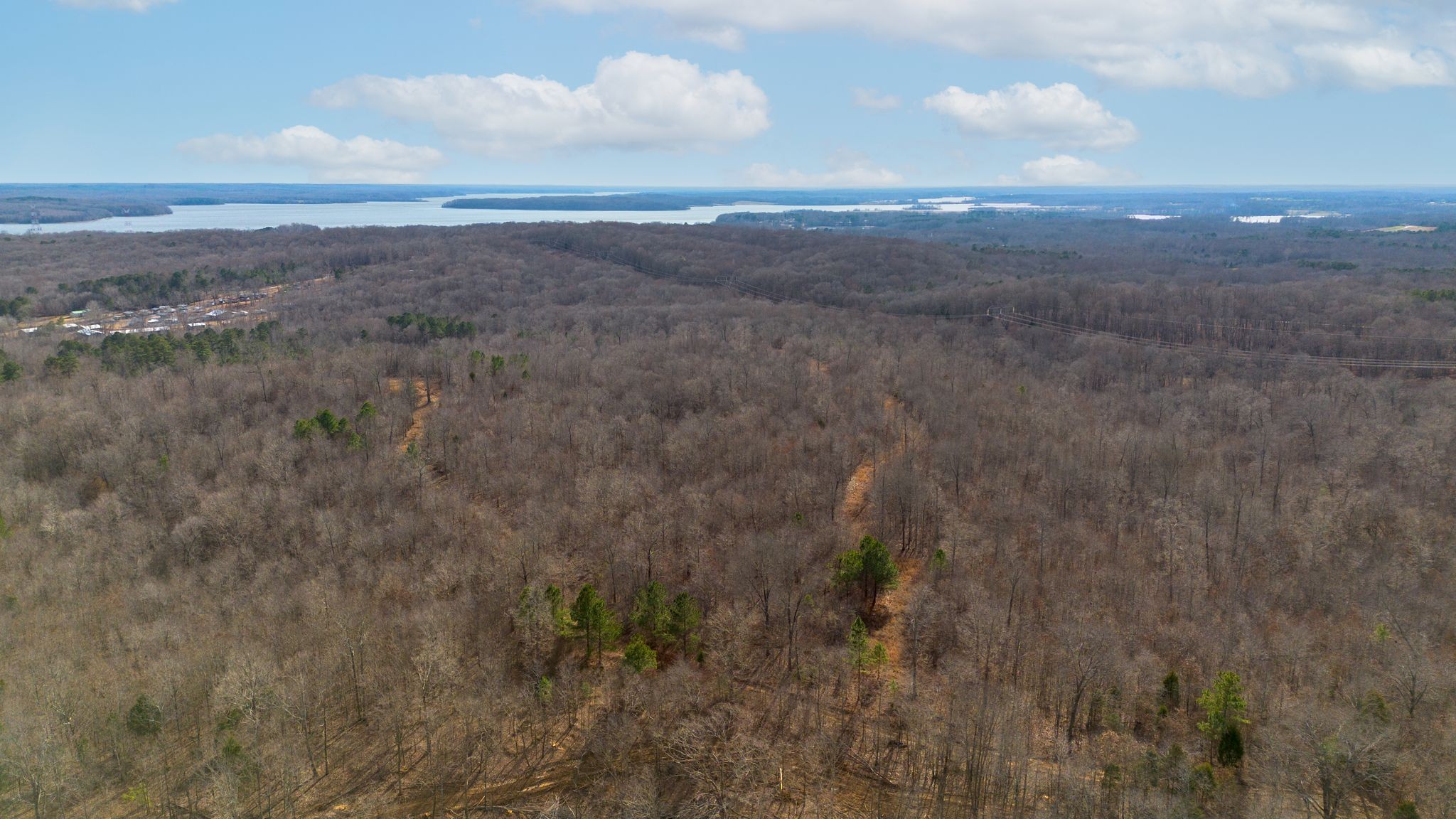 2 Olde Tennessee Trail Springville, TN 38256 - Photo 6 of 13 a view of city and green space