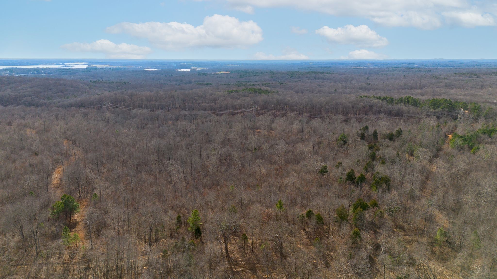 2 Olde Tennessee Trail Springville, TN 38256 - Photo 7 of 13