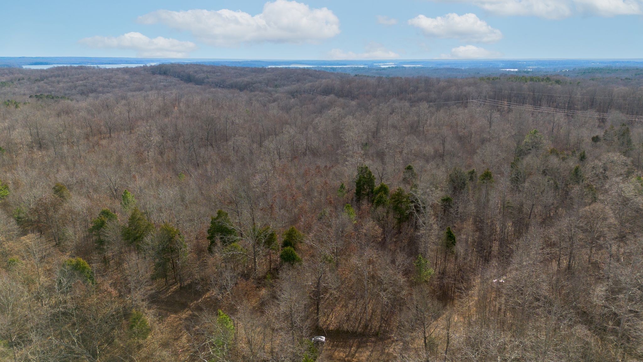 2 Olde Tennessee Trail Springville, TN 38256 - Photo 8 of 13