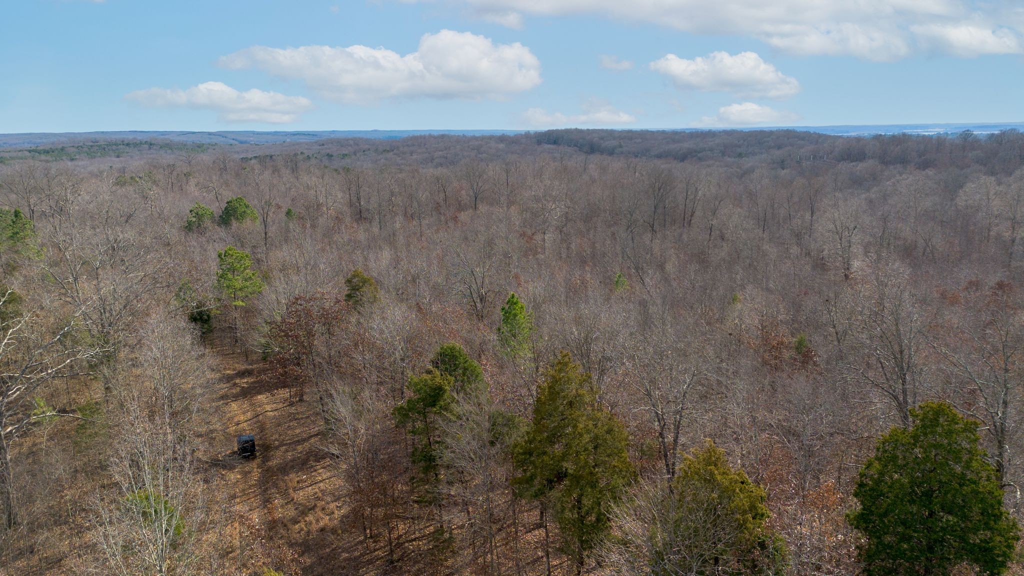 2 Olde Tennessee Trail Springville, TN 38256 - Photo 10 of 13 a view of a dry yard with wooden fence