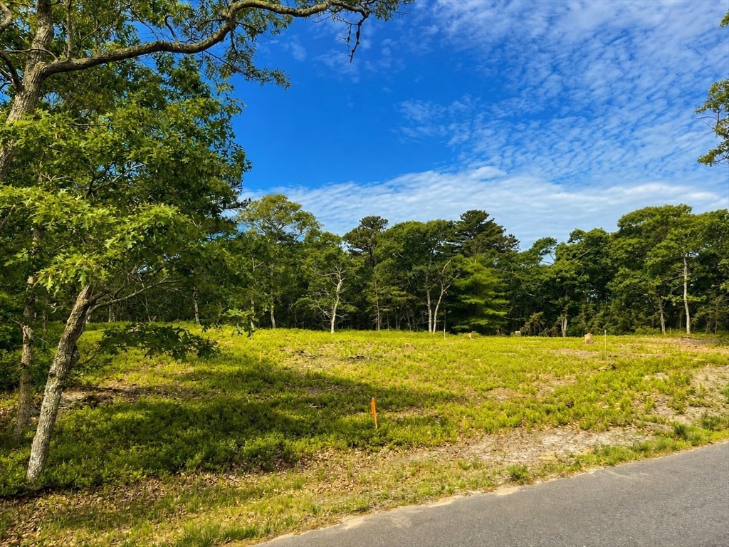 27 Double Ox Road Oak Bluffs, MA 02557 - Photo 6 of 12