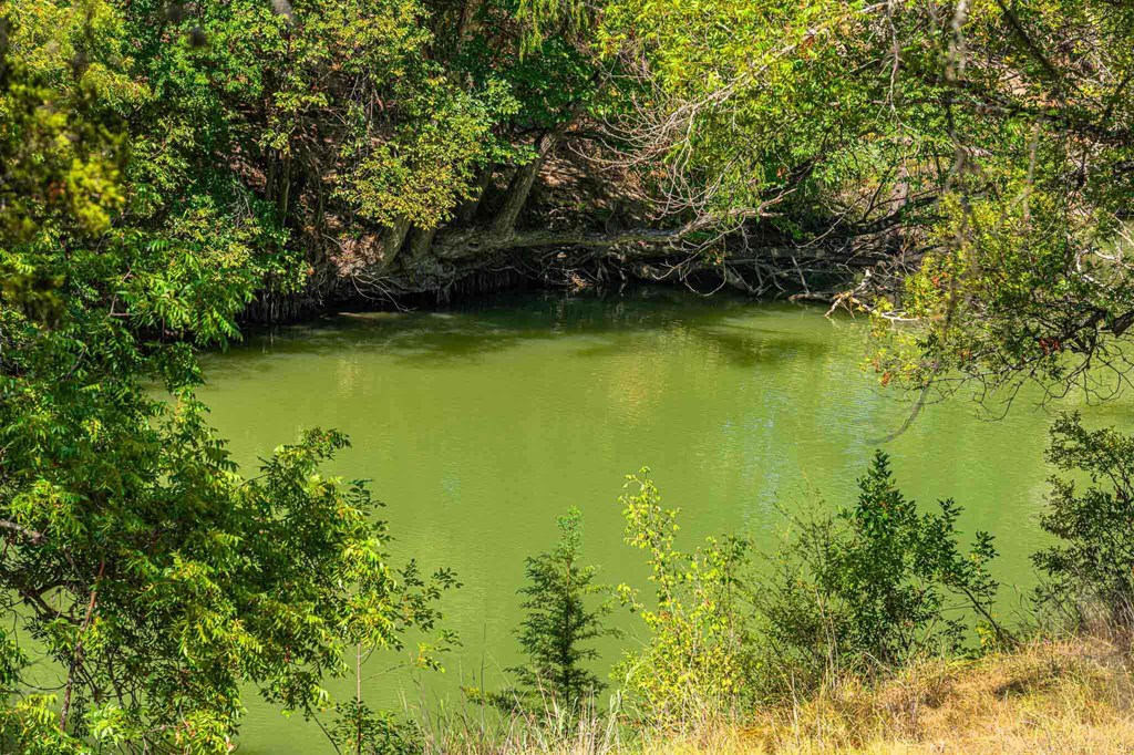 105 A Oleander Road, Unit 14/4 Comfort, TX 78013 - Photo 21 of 25