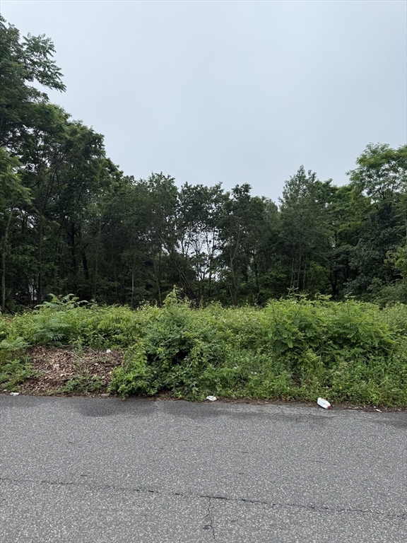 W S Arnold Avenue Springfield, MA 01119 - Photo 3 of 3 a view of a garden