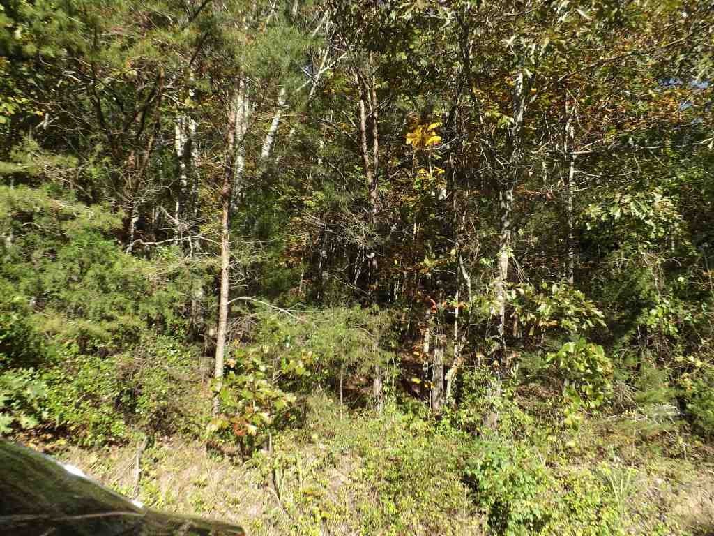 0 Upper Clear Creek Road Spring City, TN 37381 - Photo 1 of 1 Gallery Image 1
